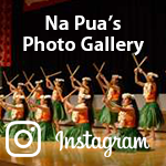 名古屋の人気フラダンス教室 のインスタ